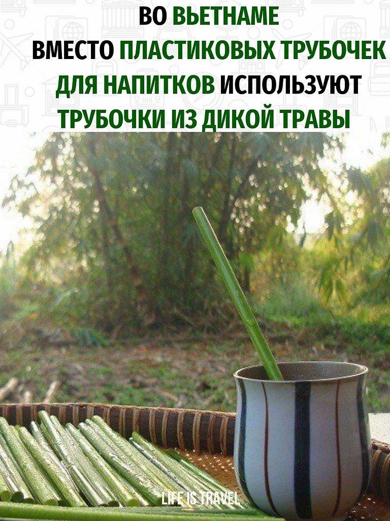 Забота об экологии.Покупая во Вьетнаме какой-нибудь напиток, вы не увидите в стакане привычную ...