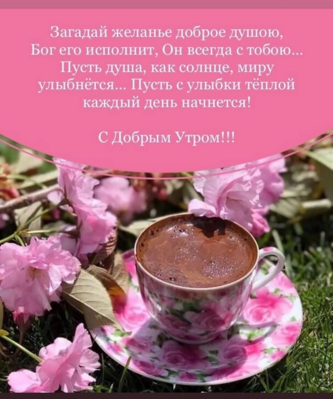 ***Victoria Viktorovna*** - 6  2023  07:46 - 2