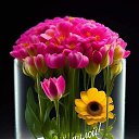 ���� ���������, ����, 53 ���� - ��������� 17 ��� 2023