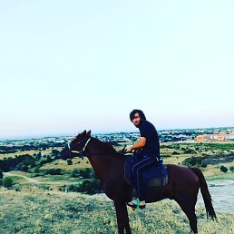 ���, ���������, 37 ���