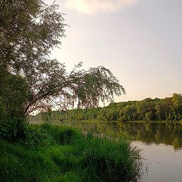 Fj, ��������, 49 ���