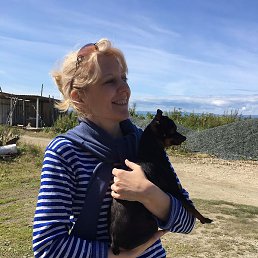 ������, ����-���������, 52 ����