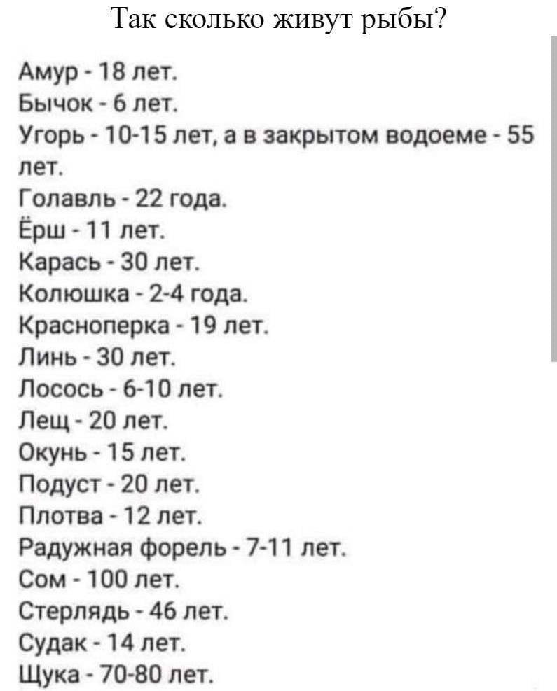 Сколько живут артемы