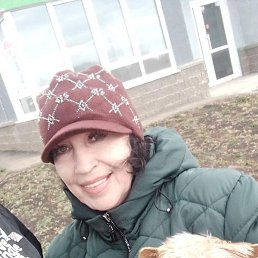 �������, ���, 61 ���