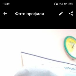 ���� �����, �������, 42 ���� - ��������� 15 �������� 2023