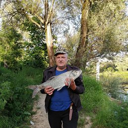 ���� ���������, ������������, 50 ��� - ��������� 27 ������� 2023