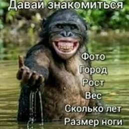 ����, ������, 47 ���