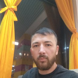 , 37, 