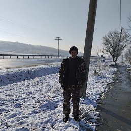 ����, �������, 53 ����