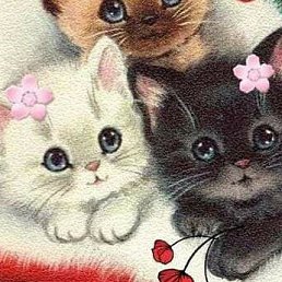 ���� �������, ������, 58 ��� - ��������� 20 �������� 2023