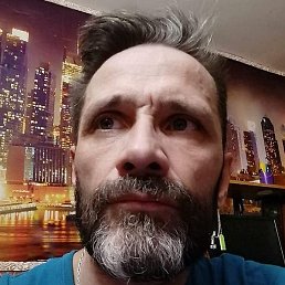 ������, �����, 51 ���