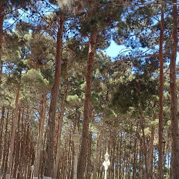 ���� 0514668855tural, ����, 37 ��� - ��������� 15 ������� 2023