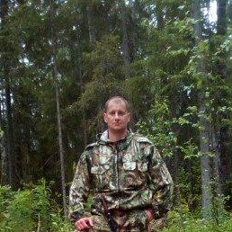 ������, ������, 42 ����