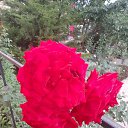 ���� �������, �����������, 45 ��� - ��������� 5 �������� 2023 � ������ ���� ����������