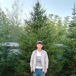 ����, ������, 49 ���