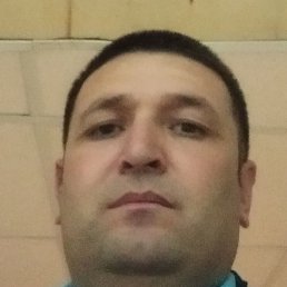 , , 41 