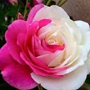 ���� �������, ������, 39 ��� - ��������� 4 ������� 2023 � ������ ���� ����������