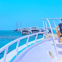 Mohamed Sameh, �������, 23 ����