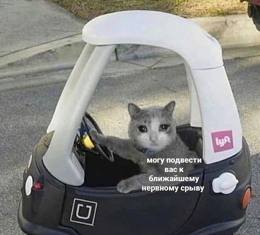    - 20  2023  13:43