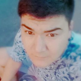 ��������, ���������, 31 ���