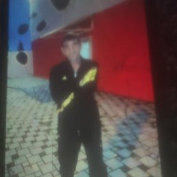 ������, ���������, 51 ���