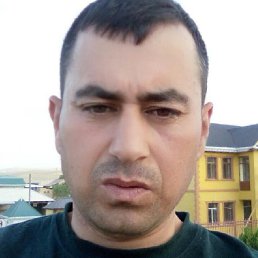 ����, �������, 43 ����