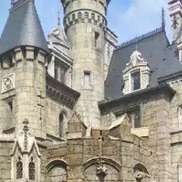 �����, ������, 46 ���