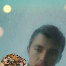 Doston, �����, 33 ����