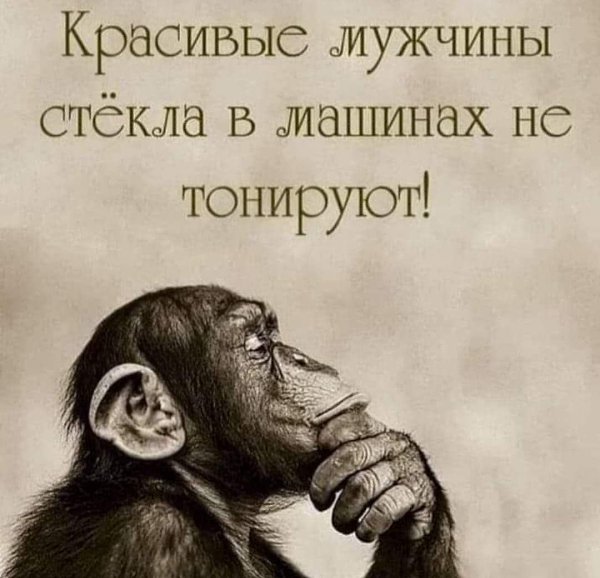 ***Victoria Viktorovna*** - 14  2023  03:38