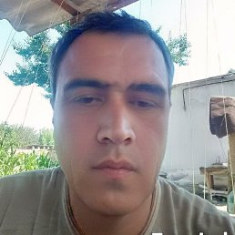 �����, �������, 40 ���