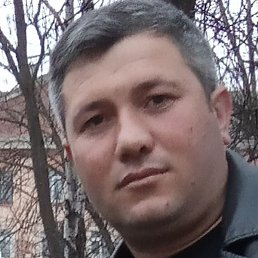 �����, ������, 36 ���