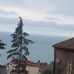 ���� �������, �������, 37 ��� - ��������� 7 ������ 2023