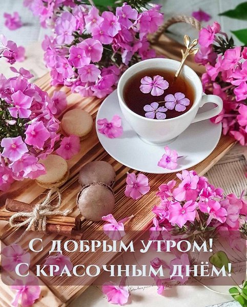 Есть только два дня, когда нельзя ничего сделать : один называется вчера, а другой - завтра, ...