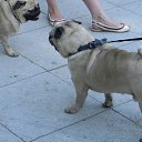 ���� �������, ������, 54 ���� - ��������� 14 ������� 2023