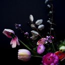 ���� ����, ������, 39 ��� - ��������� 15 ������� 2023 � ������ ���� ����������