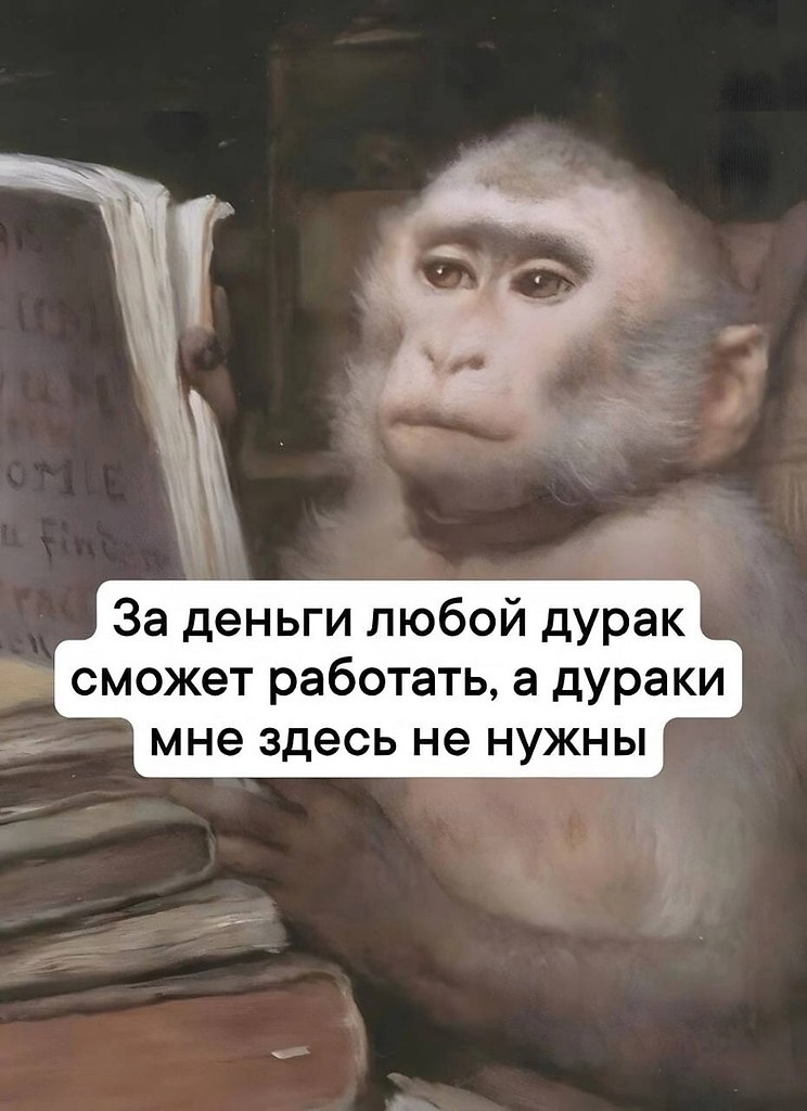    ,    :