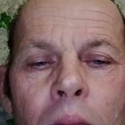 , 53, 
