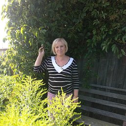 , 65, 