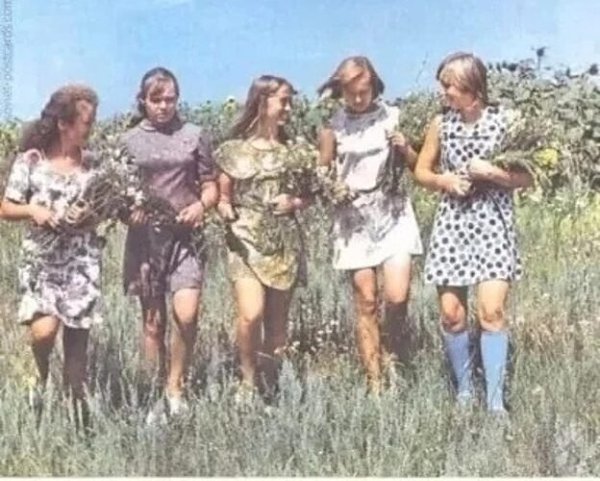 ..А вы когда -нибудь скучали по себе ? По той наивной , доброй и открытой, По той, что ещё в ...