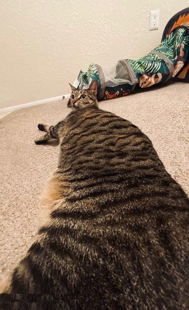  . .