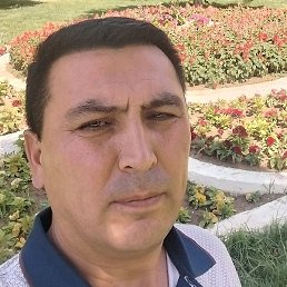 ������, �����, 46 ���