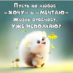 ���� ���������, ��������, 41 ��� - ��������� 30 �������� 2023