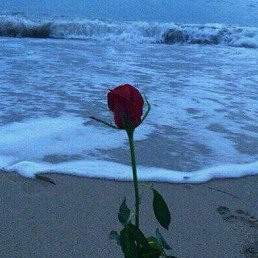 ���� Beruniy, ������, 34 ���� - ��������� 12 ������� 2023