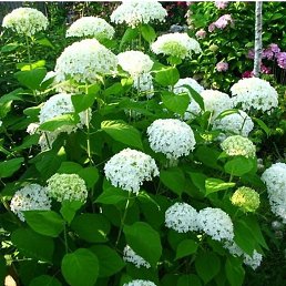 ���� ��������, ������, 73 ���� - ��������� 11 ���� 2023