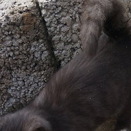 ���� ������, ���������, 38 ��� - ��������� 11 ������� 2023