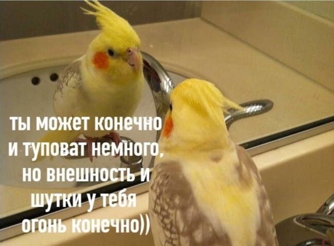    - 4  2023  08:25