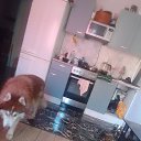 ���� Artem, �����-���������, 42 ���� - ��������� 14 ������� 2023 � ������ ���� ����������