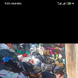 ������, �����-���������, 29 ���