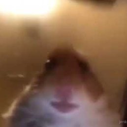 �������, ������, 22 ����