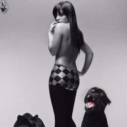 ���� ������, ����-�����������, 51 ��� - ��������� 23 ����� 2023
